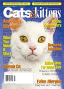 Cats & Kittens